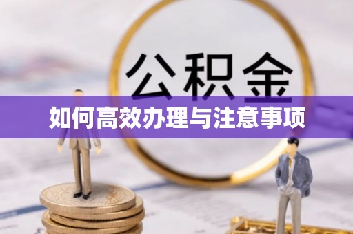 临海如何高效办理与注意事项