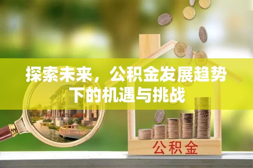 临海探索未来，公积金发展趋势下的机遇与挑战
